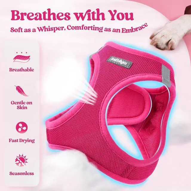 Alt view image 4 of 7 - Dog Harness Small Sized and Leash Set, Step in Soft Light Puppy Vest, Breathable Mesh Pet Harness, Reflective for Safe Easy Walking, Rose Red S