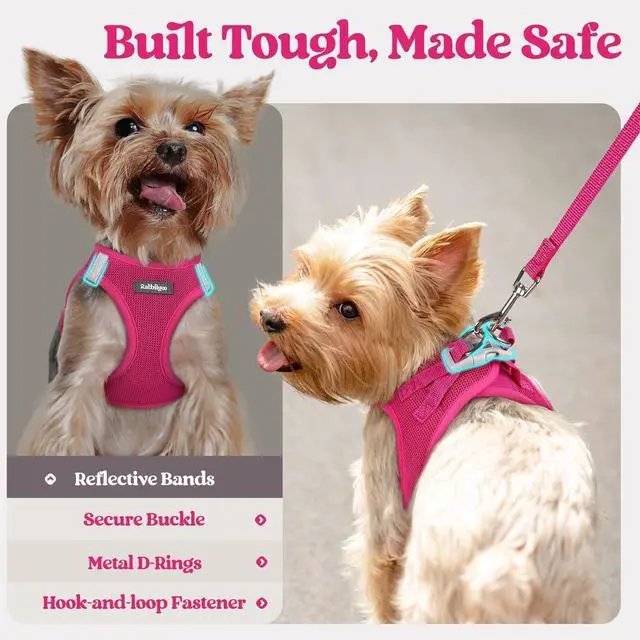 Alt view image 5 of 7 - Dog Harness Small Sized and Leash Set, Step in Soft Light Puppy Vest, Breathable Mesh Pet Harness, Reflective for Safe Easy Walking, Rose Red S