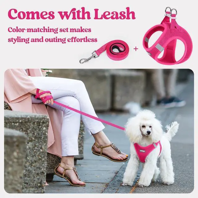 Alt view image 6 of 7 - Dog Harness Small Sized and Leash Set, Step in Soft Light Puppy Vest, Breathable Mesh Pet Harness, Reflective for Safe Easy Walking, Rose Red S