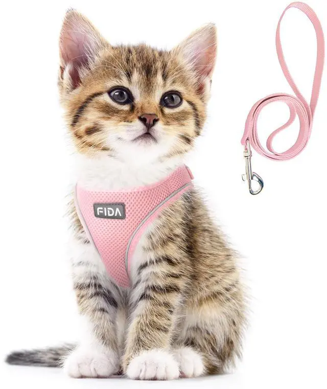 Main image of Cat Harness and Leash Set for Walking Kitten and Puppy, Escape Proof Kitten Harness with Breathable Lightweight Soft Mesh, Adjustable Reflective Step-in Design. (XXXS, Pink)