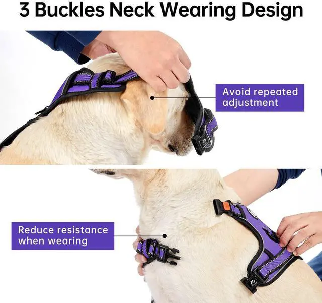 Alt view image 4 of 7 - No Pull Dog Harness for Medium Dogs, Dog Vest Harness with Leash, Safety Belt and Storage Strap, Fully Adjustable Harness, 360° Reflective Strip, Soft Handle (Purple, M)
