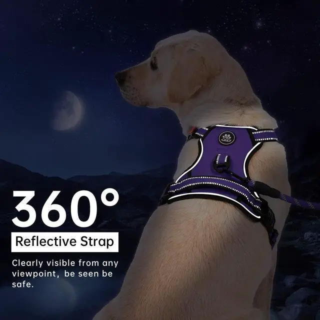Alt view image 6 of 7 - No Pull Dog Harness for Medium Dogs, Dog Vest Harness with Leash, Safety Belt and Storage Strap, Fully Adjustable Harness, 360° Reflective Strip, Soft Handle (Purple, M)