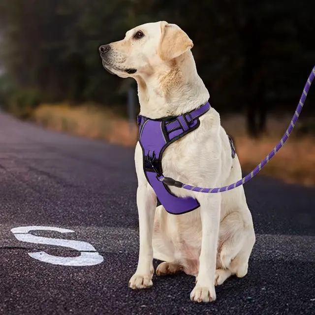 Alt view image 7 of 7 - No Pull Dog Harness for Medium Dogs, Dog Vest Harness with Leash, Safety Belt and Storage Strap, Fully Adjustable Harness, 360° Reflective Strip, Soft Handle (Purple, M)