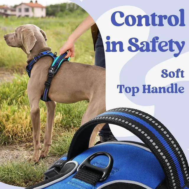 Alt view image 5 of 7 - Dog Harness Medium Sized, No Pull Pet Harness with 3 Buckles, Adjustable Soft Padded Vest with Control Handle, Walking Reflective Pet Vest for Medium Dogs, Blue, M