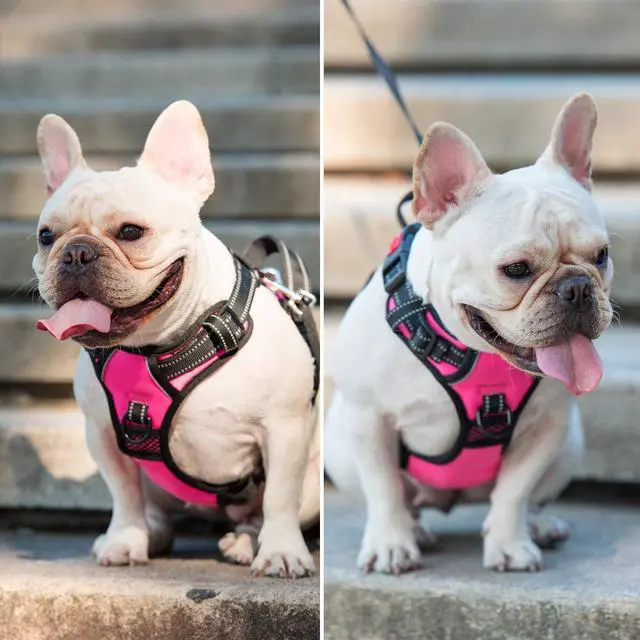 Alt view image 5 of 5 - No Pull Dog Harness, No Choke Front Lead Dog Reflective Harness, Adjustable Soft Padded Pet Vest with Easy Control Handle for Small to Large Dogs(Pink, Medium)
