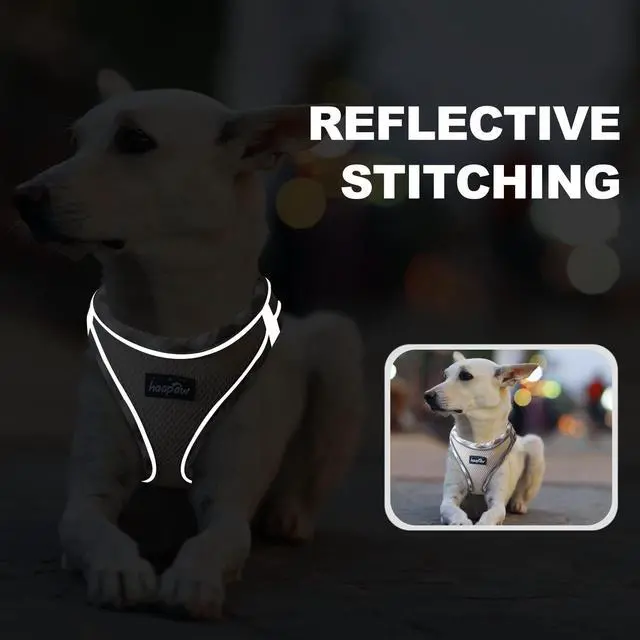 Alt view image 5 of 6 - Dog Harness with Leash Set, No Pull Adjustable Reflective Step-in Puppy Harness with Thickened Padded Vest for Extra-Small/Small Medium Dogs