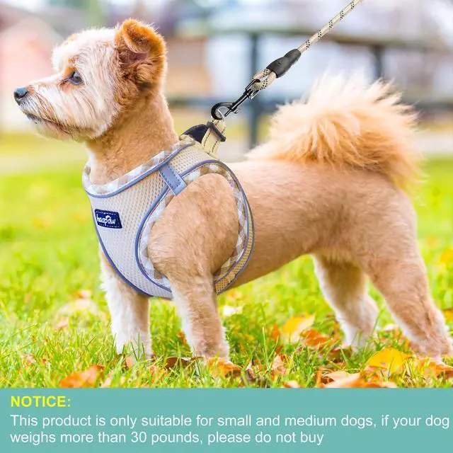 Alt view image 4 of 6 - Dog Harness with Leash Set, No Pull Adjustable Reflective Step-in Puppy Harness with Thickened Padded Vest for Extra-Small/Small Medium Dogs