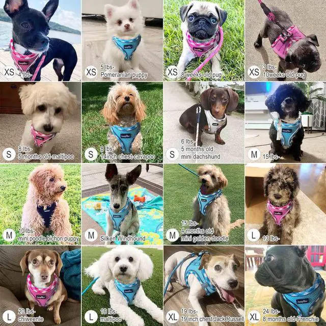 Alt view image 6 of 6 - Dog Harness with Leash Set, No Pull Adjustable Reflective Step-in Puppy Harness with Thickened Padded Vest for Extra-Small/Small Medium Dogs