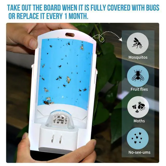Alt view image 6 of 7 - 2-Pack Indoor Flying Insect Traps with 8 Refills, UV Light Bug Catcher for Flies, Gnats, Moths, 30-Day Sticky Pads, Silent Fly Catcher for Home