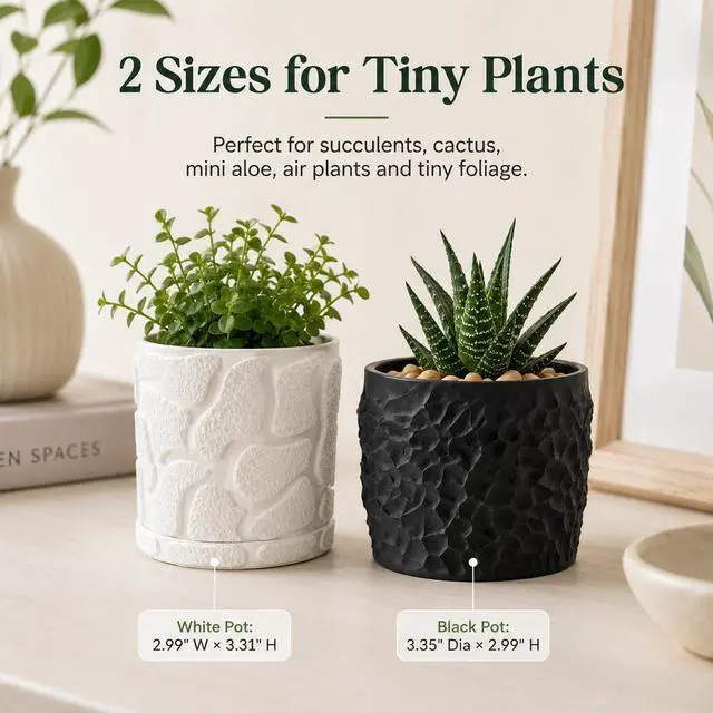 Alt view image 6 of 7 - JINANJUNGU 3D Printed Textured Rock Succulent Plant Pot, Minimalist Planter, Small Desktop Flower Pot, for Tiny Houseplants Home Office Table Decor