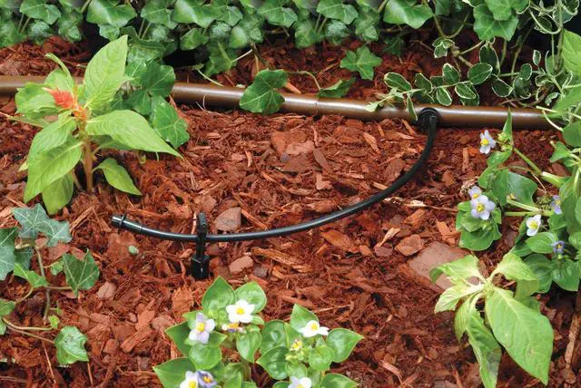 Alt view image 2 of 3 - T22-100S Drip Irrigation 1/4" Blank Distribution Tubing, 100' Roll, Black