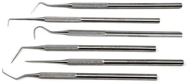 Main image of Professional Dental Tartar Scraper Tool Oral Picks to Remove Calculus from Teeth, Plaque Remover, Tooth Scraper for Oral Hygiene Care Made of Stainless Steel (6 Pcs Set)