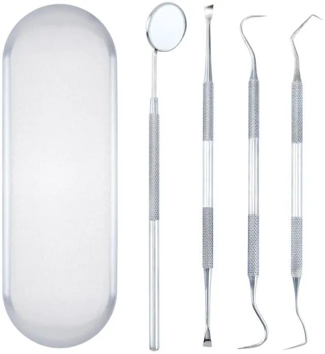 Main image of 4 PCS Dental Tools Oral Hygiene Kit Stainless Steel Dental Pick Tartar Scraper Teeth Cleaner Plaque Removal Tools for Dentist Personal Pet Care with Storage Box