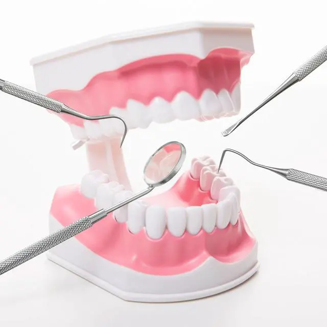 Alt view image 3 of 7 - 4 PCS Dental Tools Oral Hygiene Kit Stainless Steel Dental Pick Tartar Scraper Teeth Cleaner Plaque Removal Tools for Dentist Personal Pet Care with Storage Box