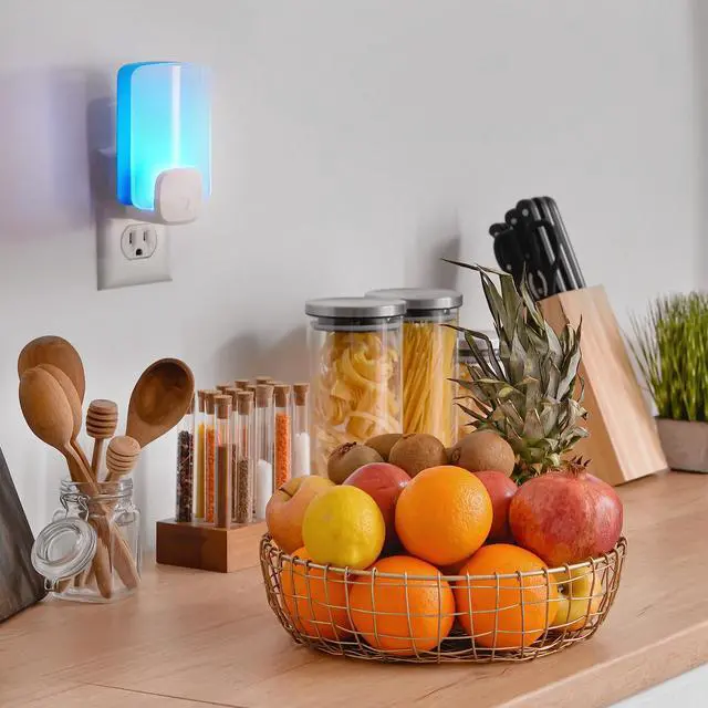 Alt view image 7 of 7 - Essentials Flying Insect Light Trap Refills, 2 Light Trap Refill Cartridges, Featuring Light Powered Attraction