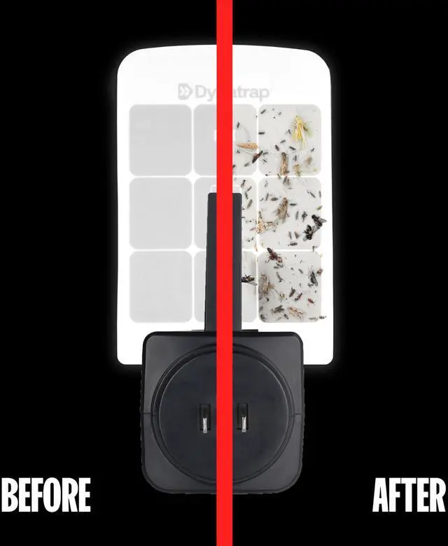 Alt view image 3 of 7 - DT3007 Indoor Plug-in Fly Trap for Flies, Fruit Flies, Moths, Gnats, and Other Flying Insects - 1 Black Device + 2 Glue Cards