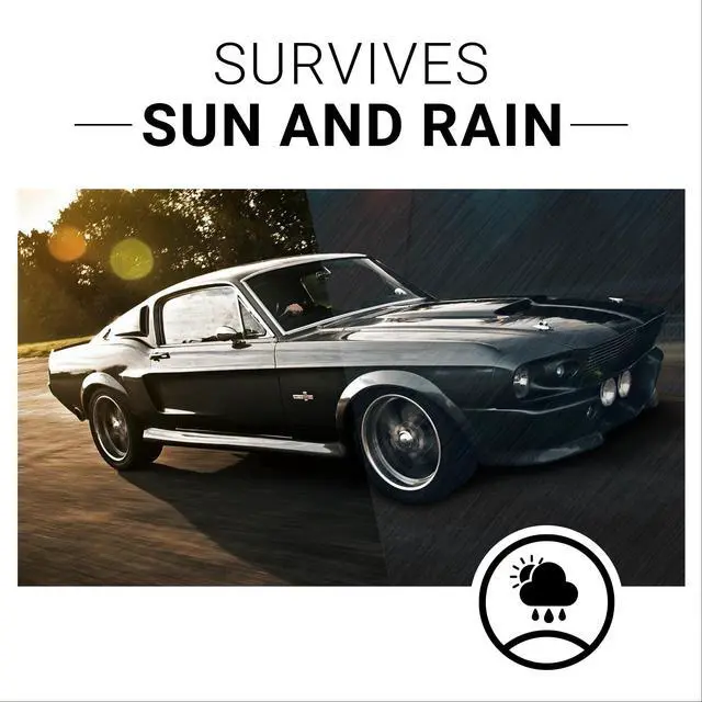 Alt view image 7 of 7 - Plastic Restorer | Bring Plastic, Rubber, and Vinyl Back to Life! | User Friendly Trim Restorer | Safe Auto Detailing Supplies | 8 Oz Kit with Foam Applicator