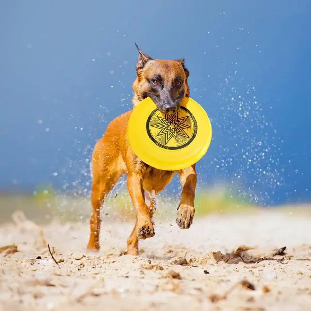 Alt view image 5 of 7 - 9 Pack Flying Discs Set for Outdoors Beach Backyard Sports Classic Play Discs for Adults (9.05-Inches)- Assorted Colors