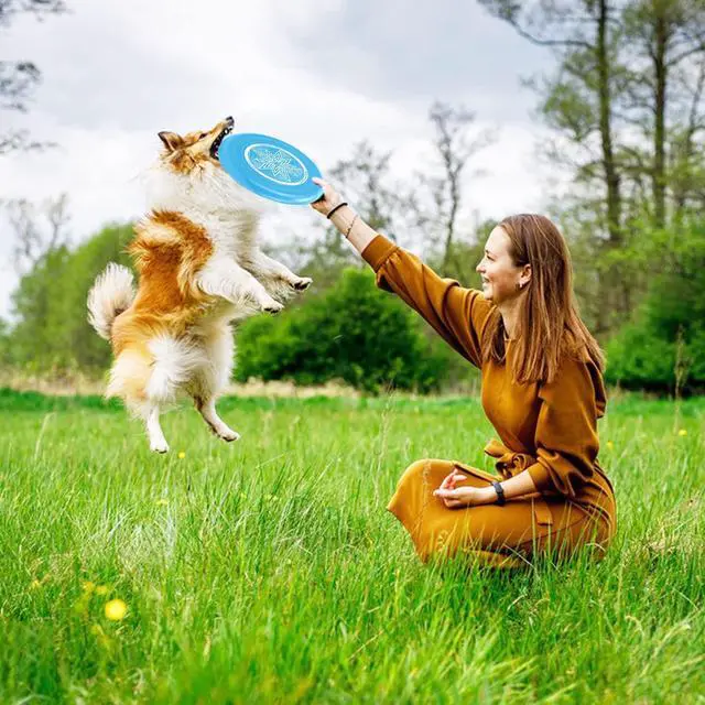 Alt view image 6 of 7 - 9 Pack Flying Discs Set for Outdoors Beach Backyard Sports Classic Play Discs for Adults (9.05-Inches)- Assorted Colors