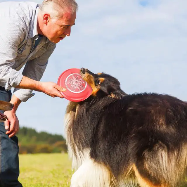 Alt view image 7 of 7 - 9 Pack Flying Discs Set for Outdoors Beach Backyard Sports Classic Play Discs for Adults (9.05-Inches)- Assorted Colors