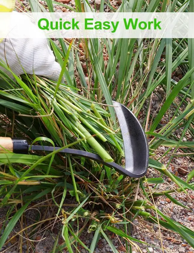 Alt view image 3 of 7 - Japanese Weeding Sickle Hoe, 17" Gardening Hand Weeder Nejiri Kama Blade Tool Digging and Cutting Weed Remover, High-Carbon Steel One-Piece Molding with Hard Wood Handle, Very Sharp Edge Quick Work