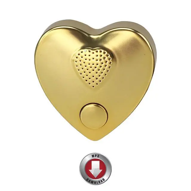 Alt view image 2 of 7 - 16min Voice Recorder, USB Downloadable Sound Recorder Chips Module for Stuffed Animals, Mother's Day Valentine's Day Christmas Plush Toy,Manual DIY Creative Sound Presents for Boys, Girls (Gold)