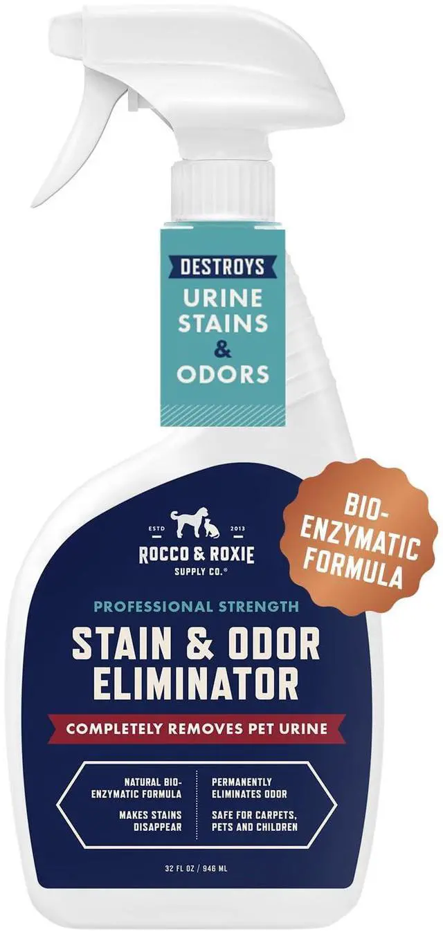 Main image of Stain & Strong Odor Eliminator, Enzyme Cleaner, Pet Odor Eliminator for Home - Carpet Stain Remover for Cats & Dog Pee - Urine Destroyer - Carpet Cleaner Spray Clear, 32 Fl Oz