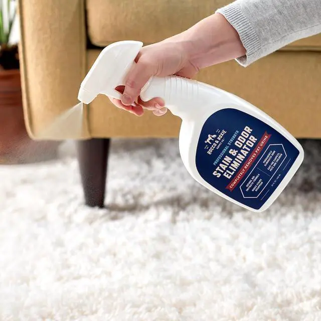 Alt view image 7 of 7 - Stain & Strong Odor Eliminator, Enzyme Cleaner, Pet Odor Eliminator for Home - Carpet Stain Remover for Cats & Dog Pee - Urine Destroyer - Carpet Cleaner Spray Clear, 32 Fl Oz