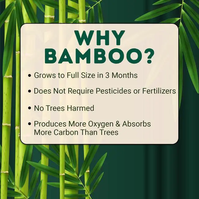 Alt view image 2 of 7 - Bamboo Facial Tissue Paper - 4 Ply Tissue Flat Box, Lint-Free, Hypoallergenic, Septic-Safe, Unscented, 60 Sheets per Box, 6 Pack, Total 360 Tissues