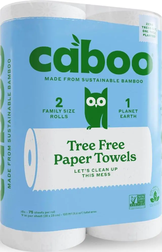 Main image of Tree Free Paper Towels, 2 Rolls, Tree Free, Plastic Free, Earth Friendly, Sustainable Kitchen Paper Towels with Strong 2 Ply Sheets