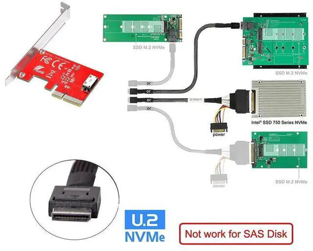 Alt view image 5 of 7 - WRIARICH PCIe 4.0 x4 to OCuLink SFF-8612/SFF-8611 Adapter Card, 64Gbps Host Converter for PCIe NVMe U.2 SSD with Full & Low Profile Bracket