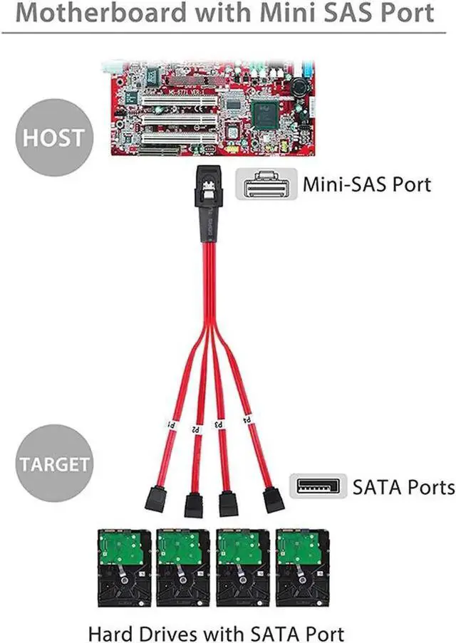 Alt view image 4 of 4 - WRIARICH 3.3FT Red SFF-8087 Mini SAS Male to 4 SATA Female Breakout Cable, Internal Multi-Lane Mini SAS Host Splitter Cable for HDD & SSD