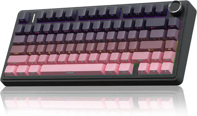 Main image of WRIARICH AULA F75 Pro Wireless Mechanical Keyboard,75% Gasket Hot Swappable Custom Keyboard,RGB Backlit,Pre-lubed Reaper Switches,Side Printed PBT Keycaps Mechanical Gaming Keyboards, Pink&Black