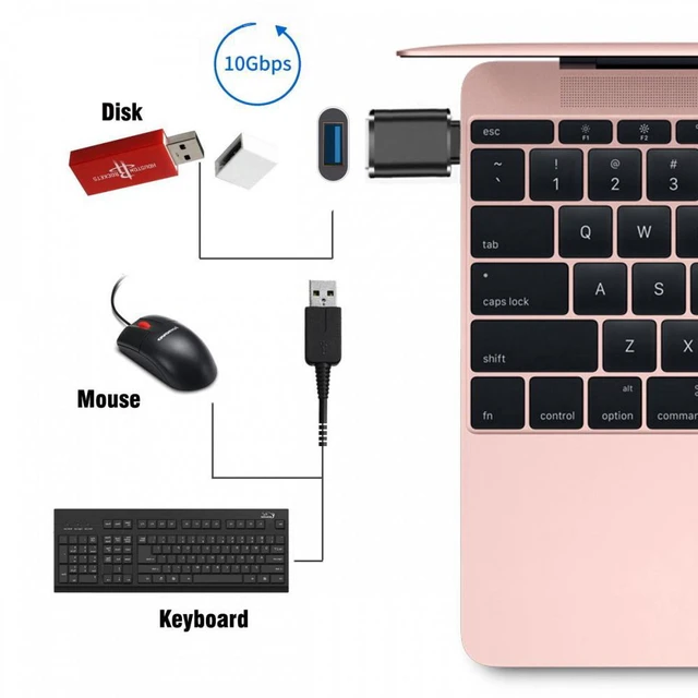 Alt view image 4 of 5 - WRIARICH 10Gbps USB-C Type-C to USB 3.0 Female OTG Adapter for Laptop Tablet Phone Disk Mouse Keyboard