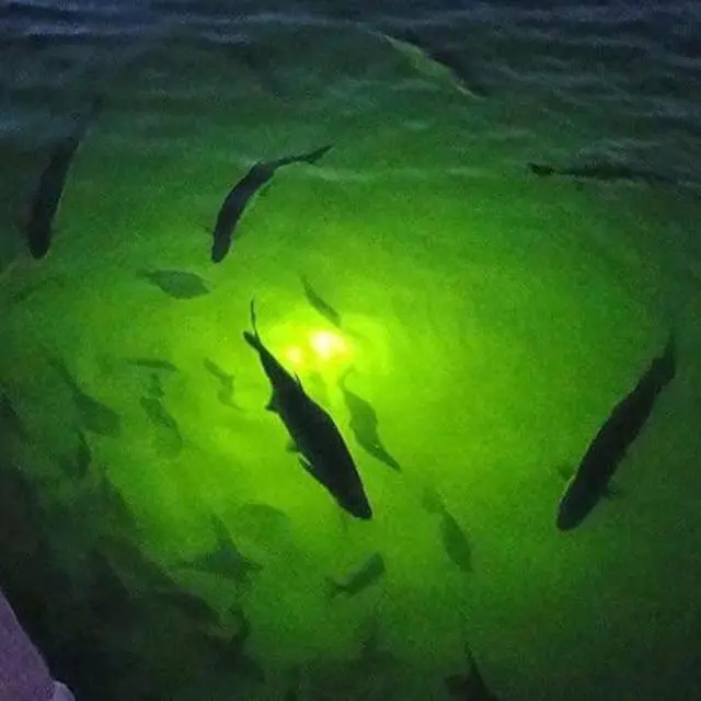 Alt view image 7 of 7 - 18W DC 12V Green IP68 Waterproof Aluminum Super Bright LED Fish Bait Submersible Dock Underwater Fishing Light Attractants for at Night Snook Crappie with Battery Clamps
