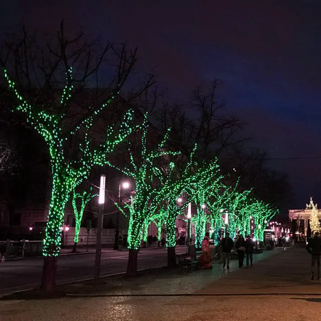 Alt view image 7 of 7 - St. Patricks Day String Lights Outdoor, 50 LED 16 FT Shamrocks Decorative Green Leaf Lights Battery Operated, 8 Lighting Modes & Timer, Waterproof for Home Garden Party Decoration, 2 Pack