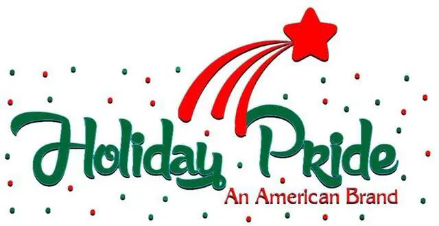 Alt view image 3 of 4 - Holiday Pride Multi Color Christmas Lights with Green Wire - 100 Count Multicolor Christmas Tree Lights Outdoor (24 Feet) - Waterproof - Indoor/Outdoor Use - UL Listed - Static and Blinking Modes