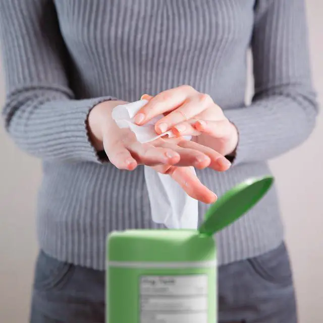 Alt view image 5 of 7 - Antibacterial Hand Wipes Fresh Morning Breeze- Antibacterial Wipes with Aloe and Vitamin E Formula | 5"x7" Wet Wipes Canister | No Parabens, Sulfates or Phthalates, Kills 99% of Germs, 50 ct