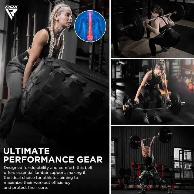 Alt view image 7 of 7 - Women Weight Lifting Belt 4 Adjustable Back Lumbar Support Bodybuilding, Powerlifting Strength Training Core Exercise Fitness Workout Squats Deadlifts,Ladies Home Gym Equipment