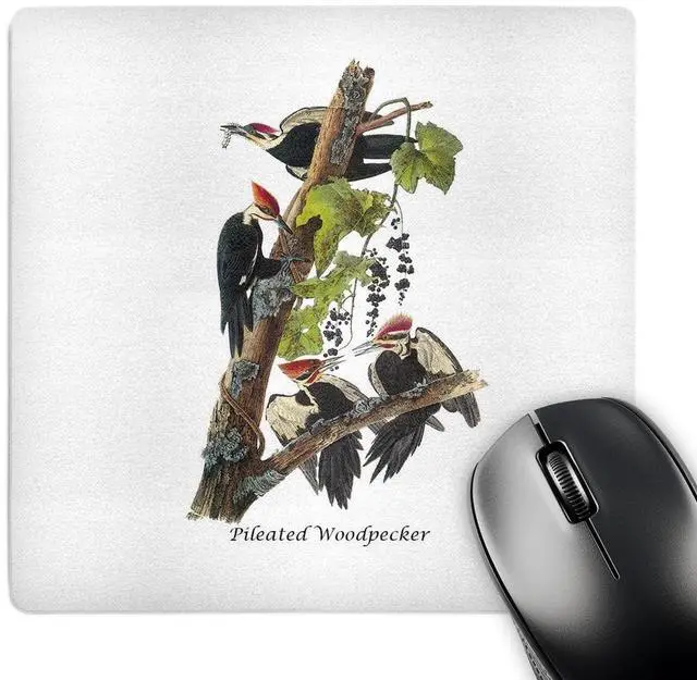 Main image of Pileated Woodpecker by John James Audubon - Mouse Pad, 8 by 8 inches (mp_114053_1)