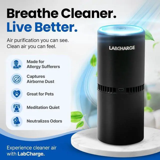 Alt view image 2 of 7 - Small Ionic Air Purifier for Home & Bedroom Silent HEPA Filter Covers 250 Sq Ft - Free Cleaner Compact & Black Design - Pack of 2