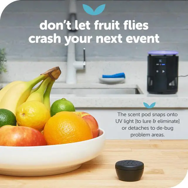 Alt view image 4 of 7 - Duo Indoor Flying Insect Trap with Scent Pod Day & Night Effective Mosquito, Fruit Fly, Gnat & Small Moth Catcher Non-Zapper Trap with Blue UV Light & Fan Suction (Black)