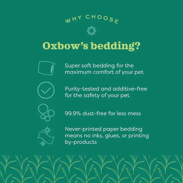 Alt view image 5 of 6 - Oxbow Small Animal Bedding for Hamster, Guinea Pig, Rabbit, White, 36L, USA