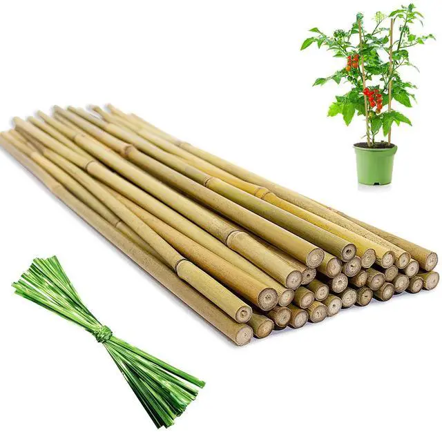 Main image of 32Pcs 18in Natural Bamboo Garden Stakes for Plant Support with Twist Ties for Tomatoes, Beans, Flowers, Potted Plants, Indoor and Outdoor Climbing Plants