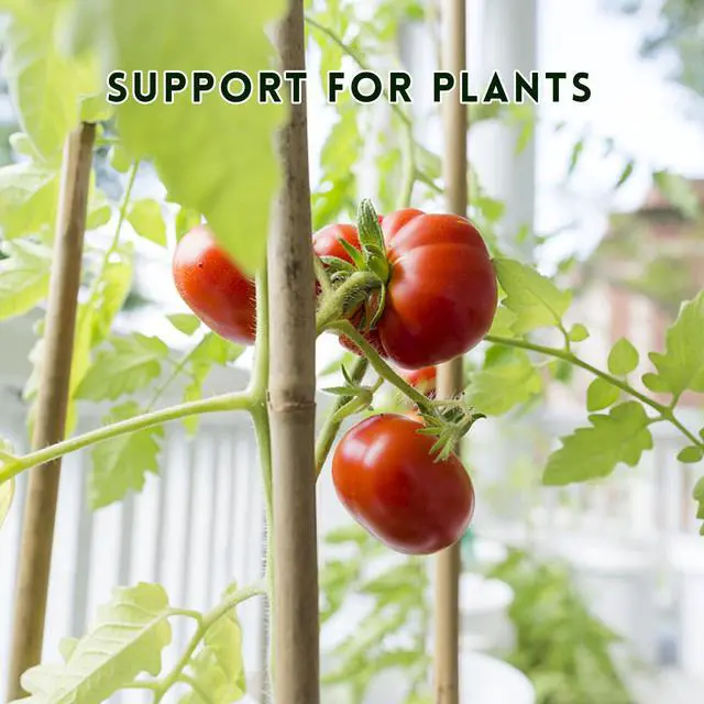 Alt view image 7 of 7 - 32Pcs 18in Natural Bamboo Garden Stakes for Plant Support with Twist Ties for Tomatoes, Beans, Flowers, Potted Plants, Indoor and Outdoor Climbing Plants