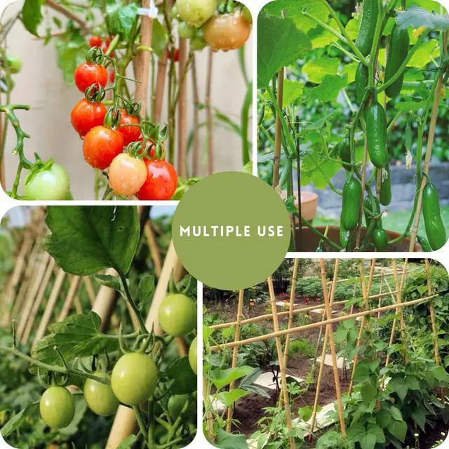 Alt view image 2 of 7 - 32Pcs 18in Natural Bamboo Garden Stakes for Plant Support with Twist Ties for Tomatoes, Beans, Flowers, Potted Plants, Indoor and Outdoor Climbing Plants