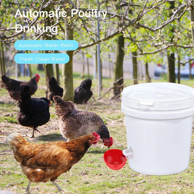 Alt view image 2 of 6 - 6 Pack Automatic Chicken Water Cups With Tee Fittings And Mounting Hole Opener For Poultry Chicken Duck Goose Turkey
