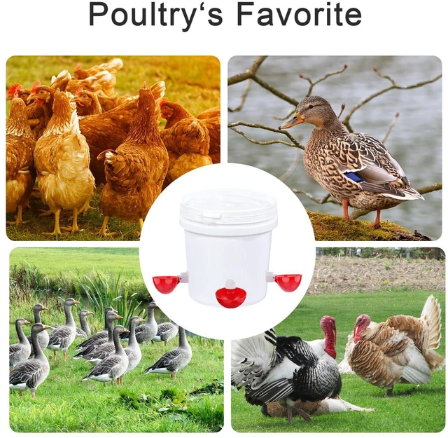 Alt view image 3 of 6 - 6 Pack Automatic Chicken Water Cups With Tee Fittings And Mounting Hole Opener For Poultry Chicken Duck Goose Turkey