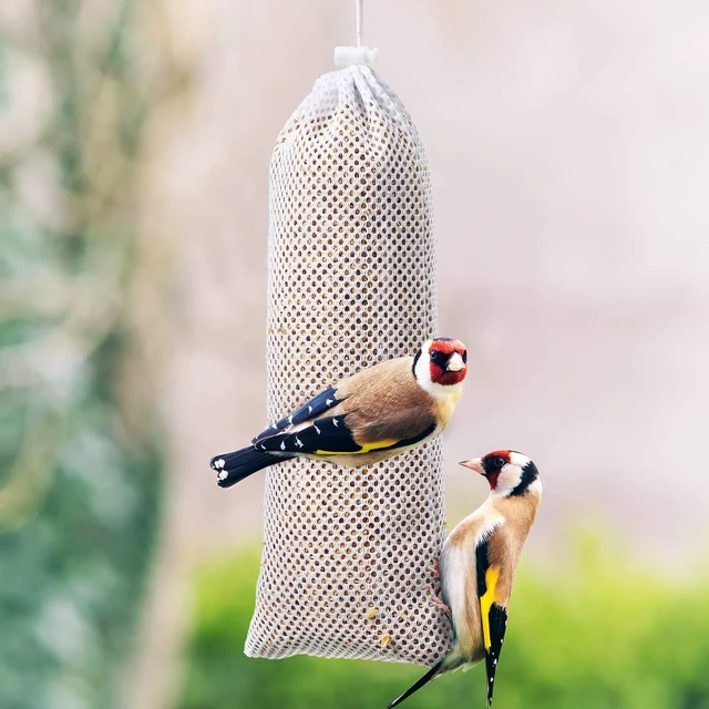 Alt view image 6 of 6 - Weewooday 3 Pieces Finch Sock Feeder Thistle Seed 4.7x11in White