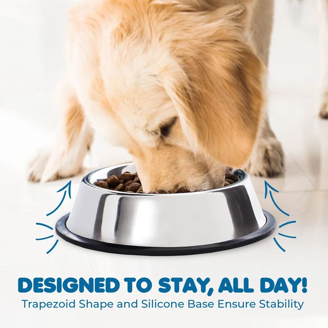 Alt view image 4 of 7 - SunGrow No Spill Feeding Bowl 64Oz Stainless Steel Non-Slip Rubber Base Rust Resistant